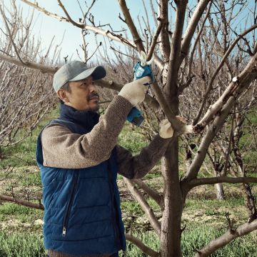 Pro Pruner Akülü Bahçe Makası (SOLO)