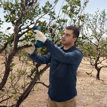 Pro Pruner Akülü Bahçe Makası (SOLO)