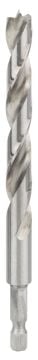 Bosch Ahşap Matkap Ucu 10*133 mm 1/4 Hex Şaft