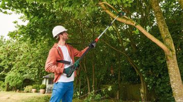 Bosch UniversalChainPole 18 Akülü Teleskopik Ağaç Budama Makinesi Tek Akülü 2.5 Ah